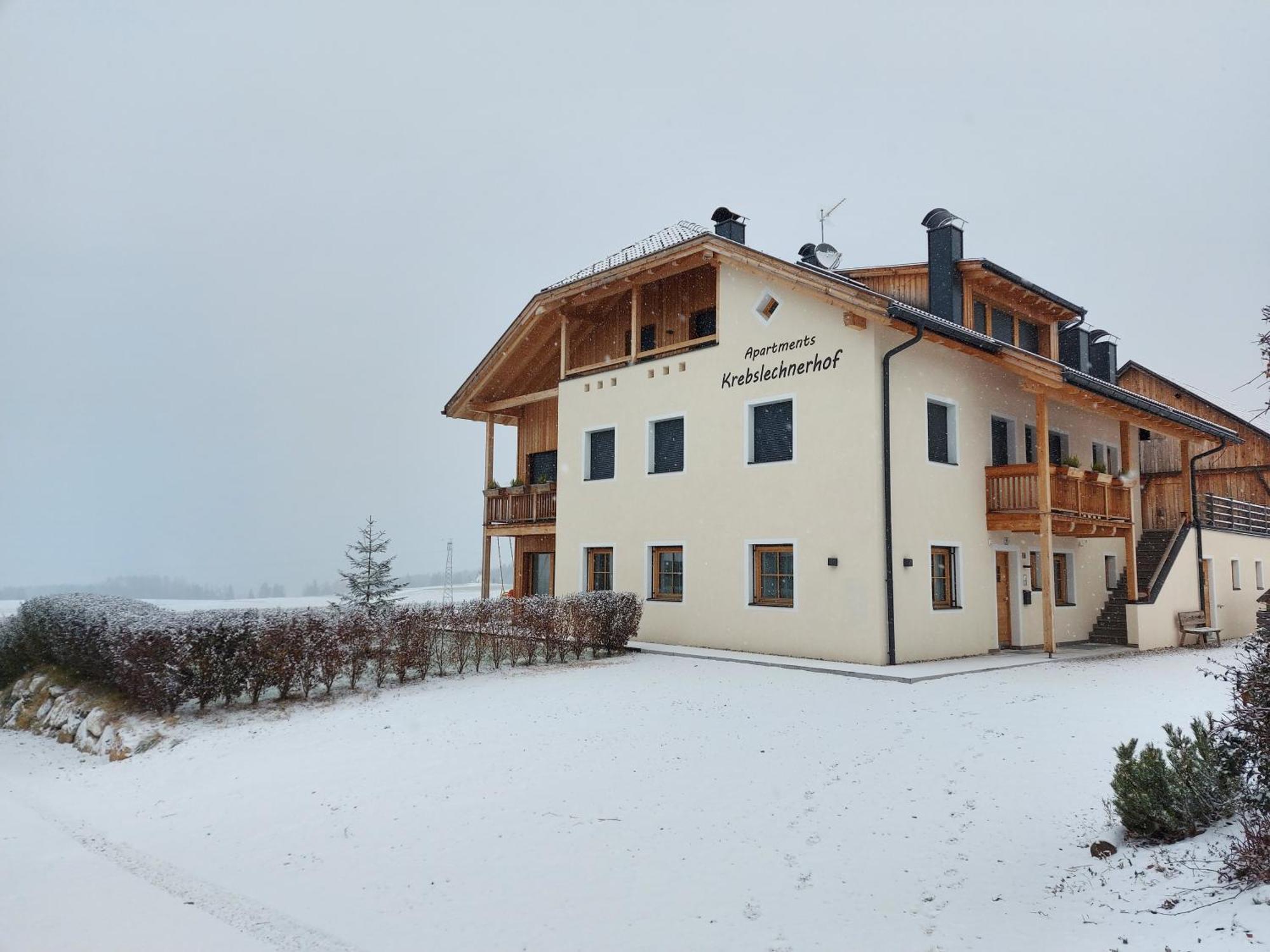 Krebslechnerhof Villa Брунико Екстериор снимка